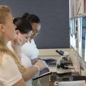 SMU Medical Students interpreting x-rays