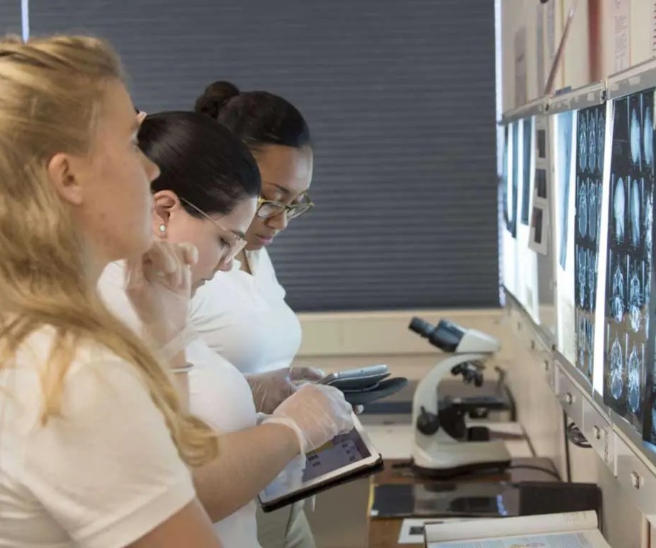SMU Medical Students interpreting x-rays
