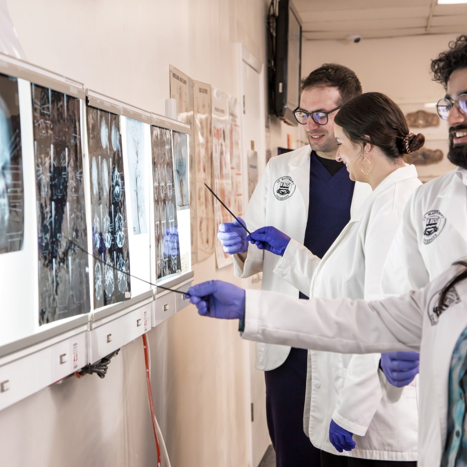 SMU Medical students practice reading cranial x-rays
