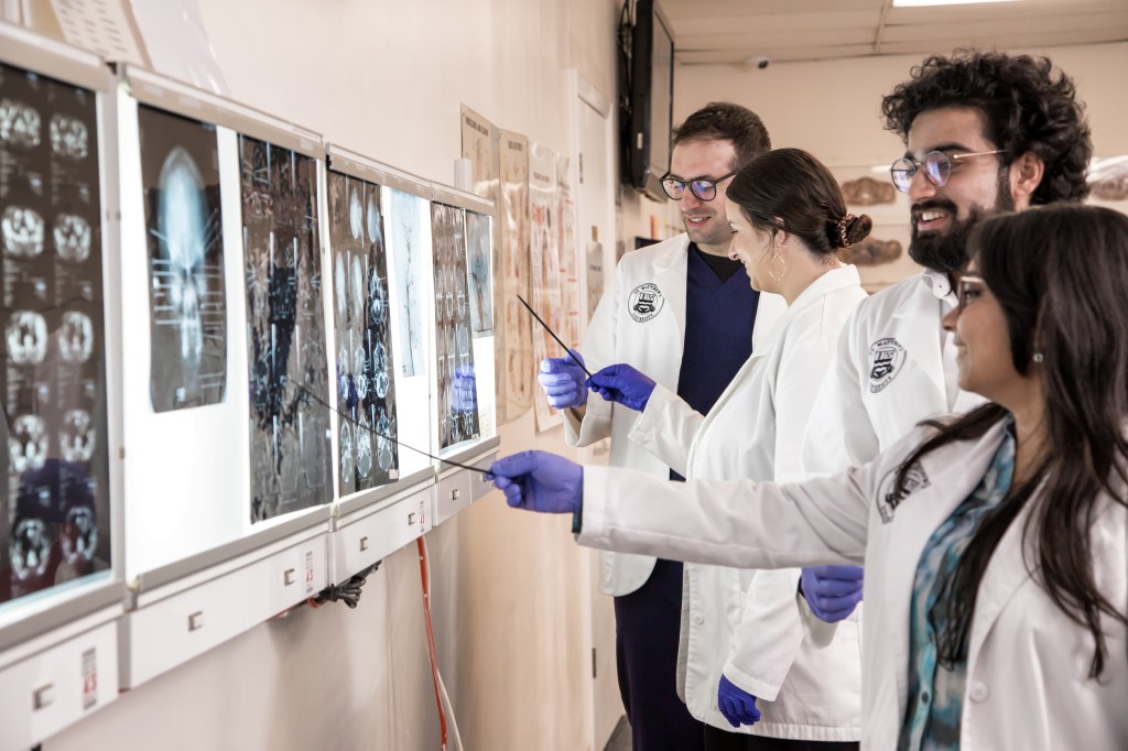 SMU Medical students practice reading cranial x-rays