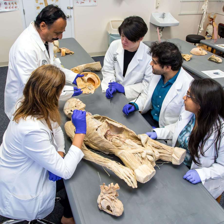SMU Medical students working closely with faculty member during anatomy lab