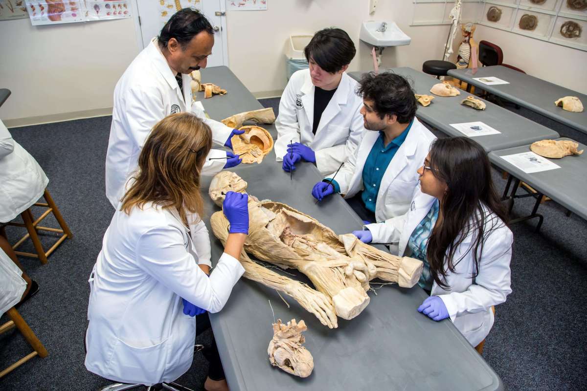 SMU Medical students working closely with faculty member during anatomy lab