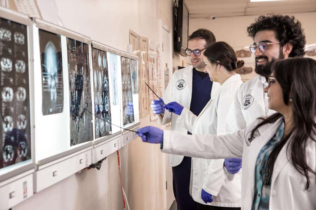 SMU Medical Students working in small groups to interpret x-rays