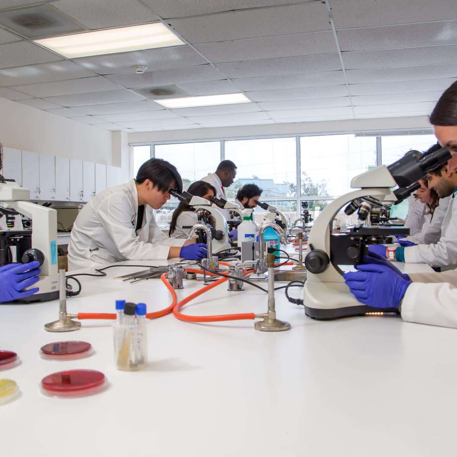 SMU Medical students performing labs in microbiology lab