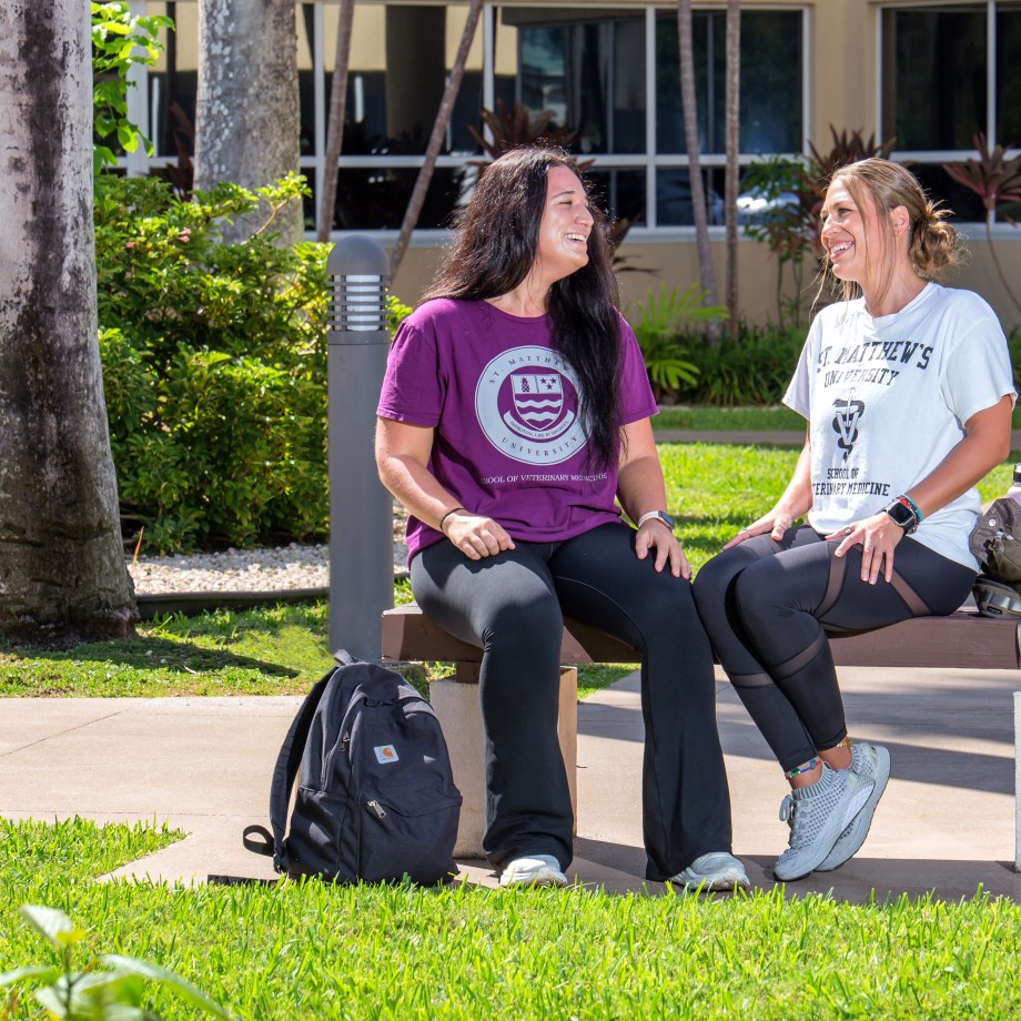 SMU Medical Students enjoy the weather on campus
