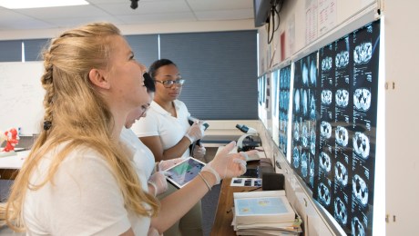 SMU Medical Student reviewing a series of x-rays