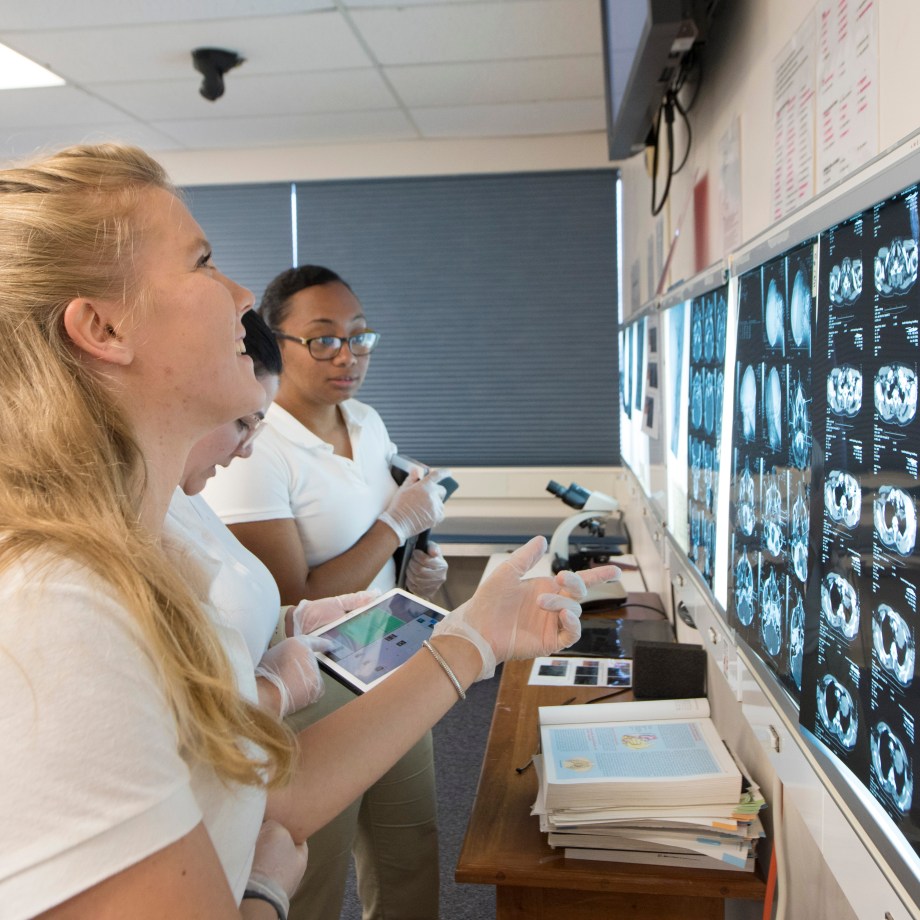SMU Medical Student reviewing a series of x-rays