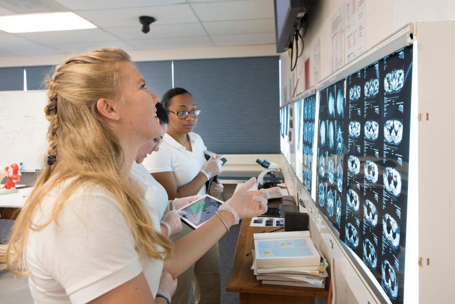 SMU Medical Student reviewing a series of x-rays