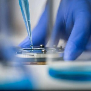 Student working on microbiology slide