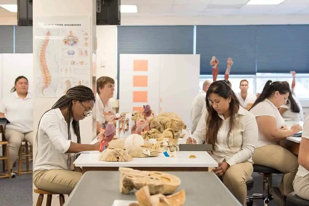 Students taking notes during anatomy lab