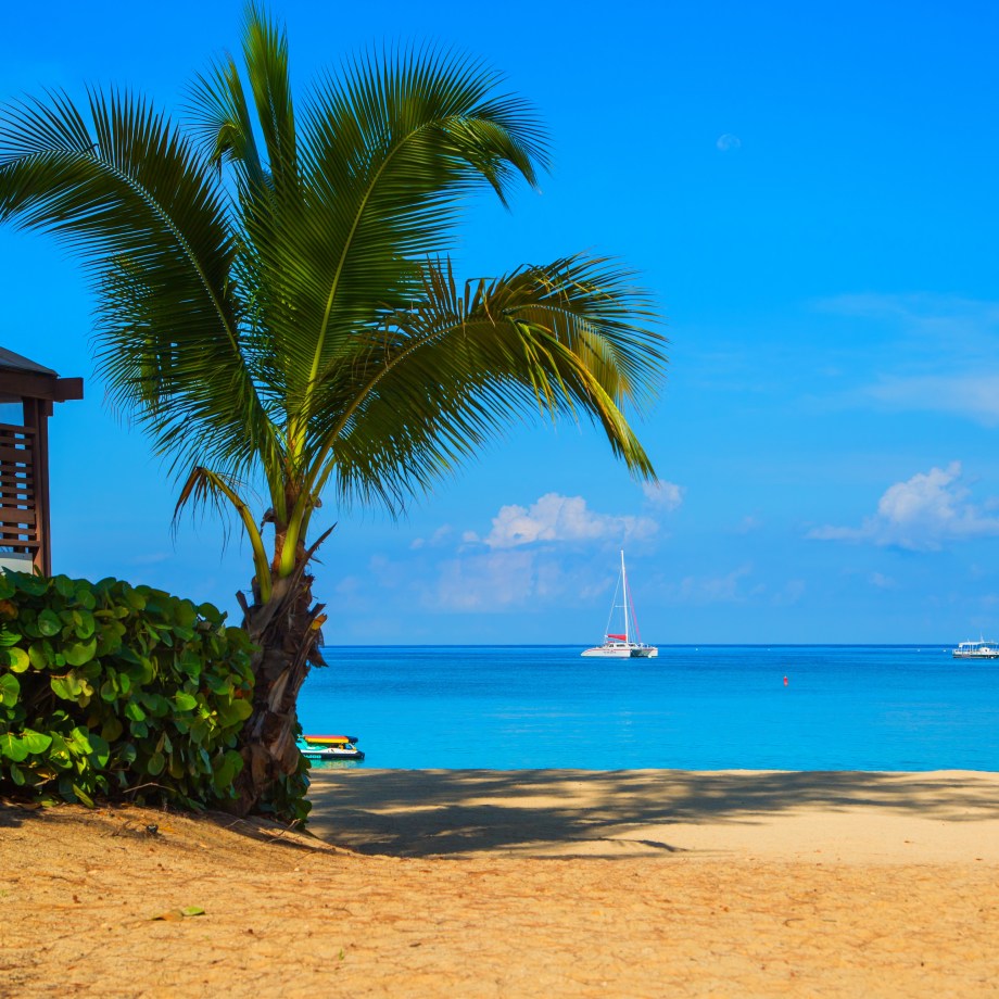 Beautiful 7 mile beach on the island of Grand Cayman