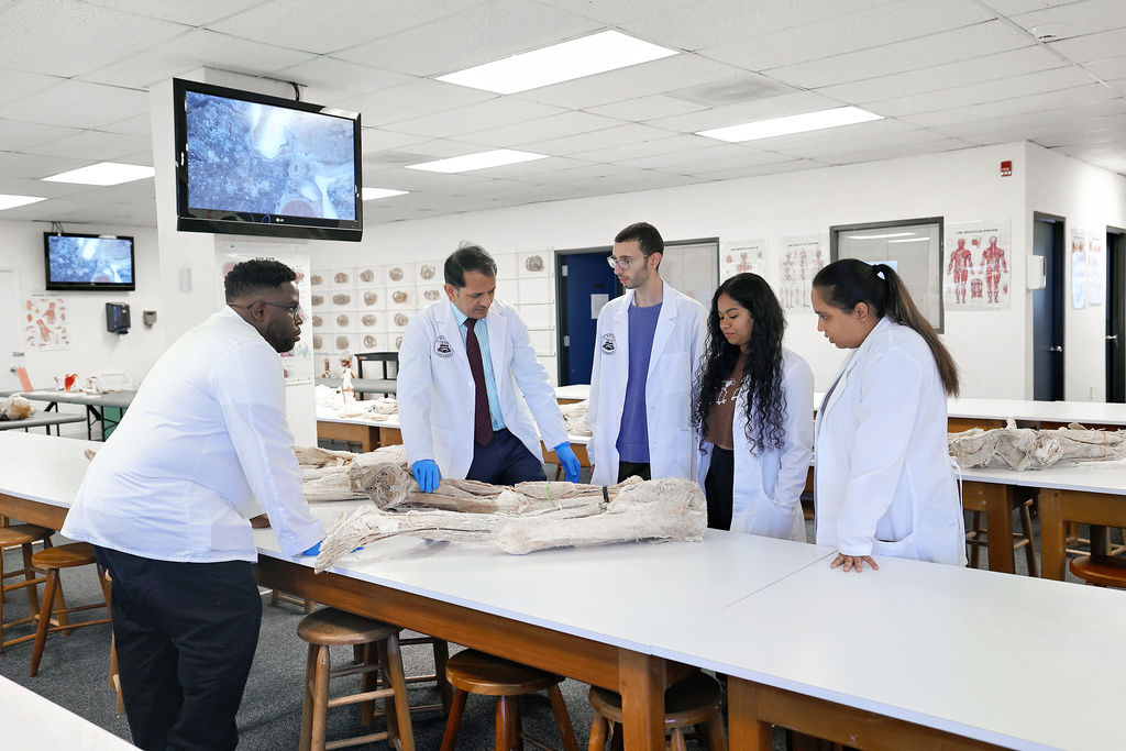 professor teaching in the anatomy lab